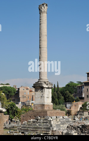 Rome. Italy. Column of Phocas, Roman Forum (Foro Romano). Erected AD 608. Stock Photo