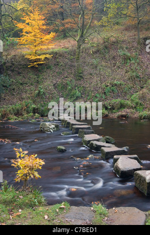Stepping stones over Hebden Water in autumn, near Hebden Bridge, Calderdale, Yorkshire, UK Stock Photo