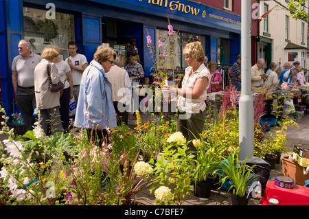 Mature female talks to stall holder selling garden plants, attractive plants in foreground, busy  shoppers in background. Stock Photo