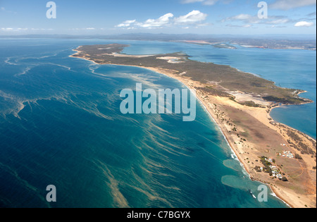 Gladstone peninsula during the coral spawning period, aerial photo, Gladstone, Queensland, Australia Stock Photo