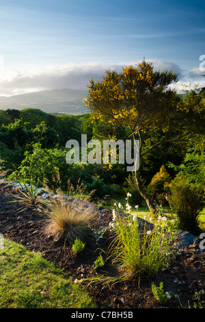 Beautiful garden near Portmerion, Snowdonia National Park, Wales Stock Photo