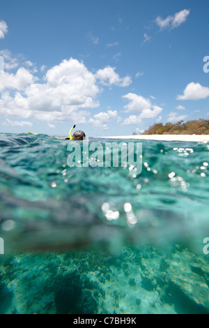 Diver in front of Wilson Island part of the Capricornia Cays National Park Great Barrier Reef Marine Park UNESCO World Heritage Stock Photo