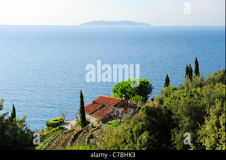 Manor with cypresses at Mediterranean coast with island of Corsica in background near Pomonte western coast of island of Elba Me Stock Photo