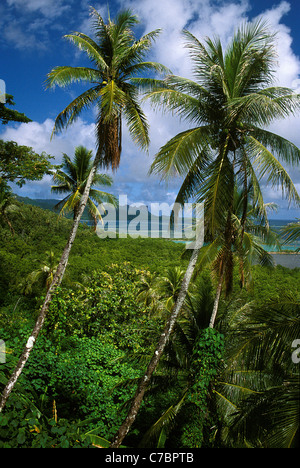 Pohnpei (Ponape), Federated States of Micronesia Stock Photo