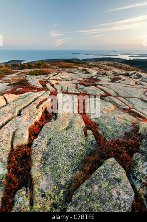 Fall color amidst granite bedrock on summit of Cadillac Mountain at sunset, Mount Desert Island, Acadia National Park, Maine Stock Photo