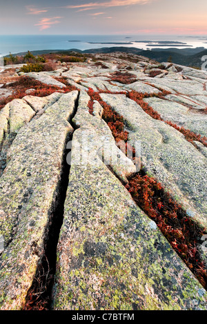 Fall color amidst granite bedrock on summit of Cadillac Mountain at sunset, Mount Desert Island, Acadia National Park, Maine Stock Photo