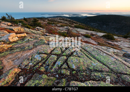 Fall color amidst granite bedrock on summit of Cadillac Mountain at sunset, Mount Desert Island, Acadia National Park, Maine Stock Photo