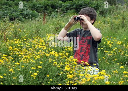 Boy bird watching in a meadow; Cornwall ; UK Stock Photo