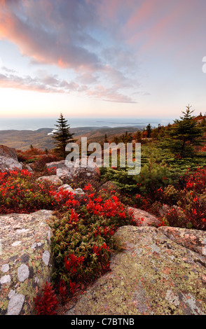 Fall color amidst granite bedrock on summit of Cadillac Mountain at sunrise, Mount Desert Island, Acadia National Park, Maine Stock Photo