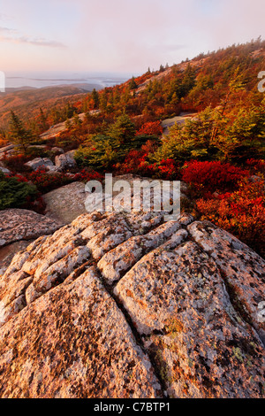 Fall color amidst granite bedrock on summit of Cadillac Mountain at sunrise, Mount Desert Island, Acadia National Park, Maine Stock Photo