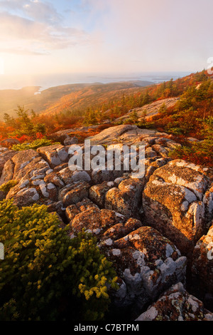 Fall color amidst granite bedrock on summit of Cadillac Mountain at sunrise, Mount Desert Island, Acadia National Park, Maine Stock Photo