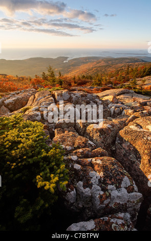 Fall color amidst granite bedrock on summit of Cadillac Mountain at sunrise, Mount Desert Island, Acadia National Park, Maine Stock Photo