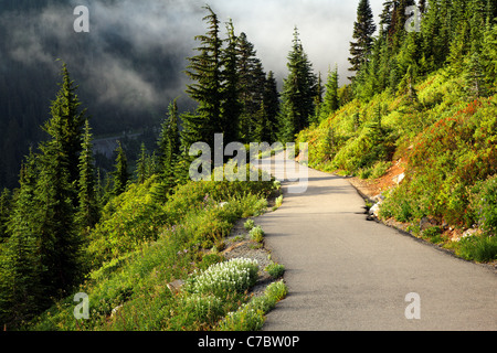 Edith Creek Trail through subalpine meadow, Paradise, Mount Rainier National Park, Washington, USA Stock Photo