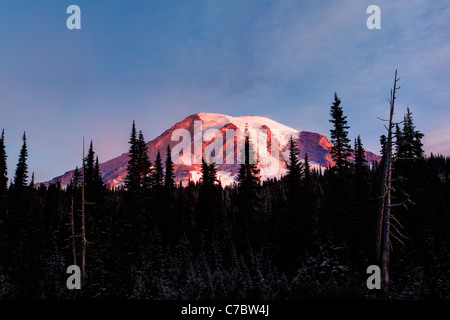 Mount Rainier framed by subalpine trees, Reflection Lakes, Mount Rainier National Park, Washington, USA Stock Photo