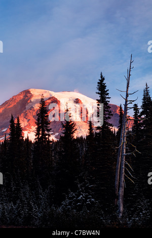 Mount Rainier framed by subalpine trees, Reflection Lakes, Mount Rainier National Park, Washington, USA Stock Photo