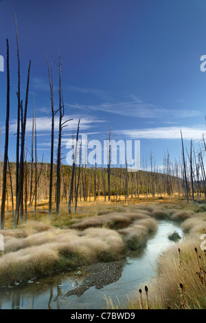 Obsidian Creek flowing through a misty meadow and dead trees in autumn, Yellowstone National Park, Wyoming, USA Stock Photo