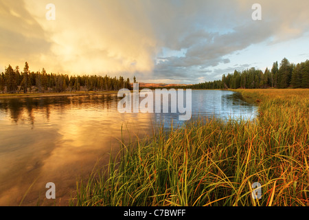 Storm clouds building over Yellowstone River and grassy meadows near sunset, Yellowstone National Park, Wyoming, USA Stock Photo