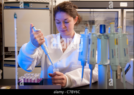 Scientist conducting an experiment in a laboratory Stock Photo