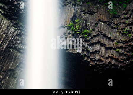 Latourell Falls falling over basalt cliff, Columbia River Gorge National Scenic Area, Oregon, USA Stock Photo