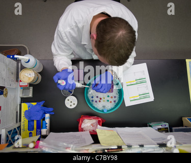Scientist doing an experiment in a lab Stock Photo