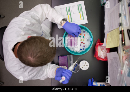 Scientist doing an experiment in a lab Stock Photo