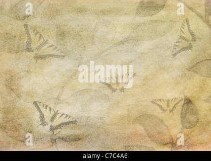 textured grunge background with leaves and butterflies Stock Photo