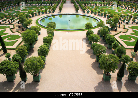 Gardens of Versailles, L'orangerie, Chateau de versailles, France Stock Photo