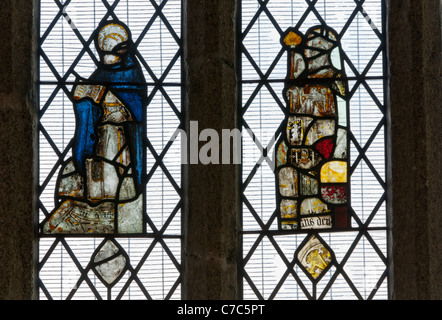 Early stained glass in the church of St Sampson, Golant, Cornwall Stock Photo