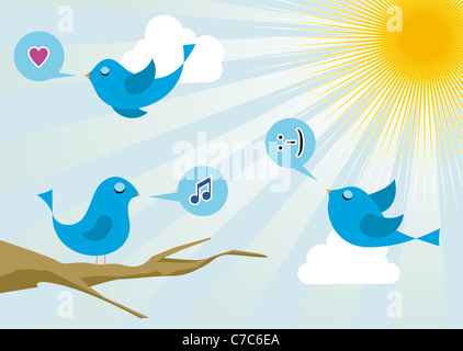 Twitter birds morning communication. Social media network connection concept Stock Photo