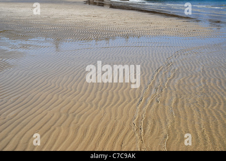 ripples in wet sand caused by outgoing tide, Florence Bay, Magnetic Island, Queensland, Australia Stock Photo