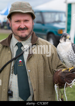 Cheshire Game & Country Fair - Falconry  Falconer: RICHARD NEWTON Bird: White Gyr Falcon x Peregrine Falcon Hybrid Cross Stock Photo