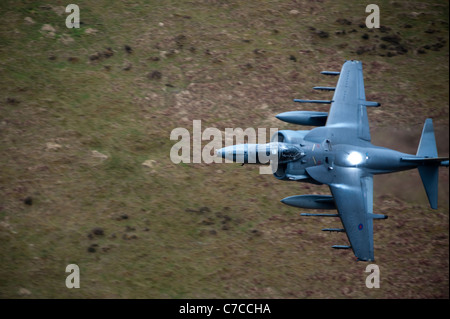 RAF Harrier GR9 attack jet fighter aircraft low level in north wales (mach loop)shot from the hill side Stock Photo