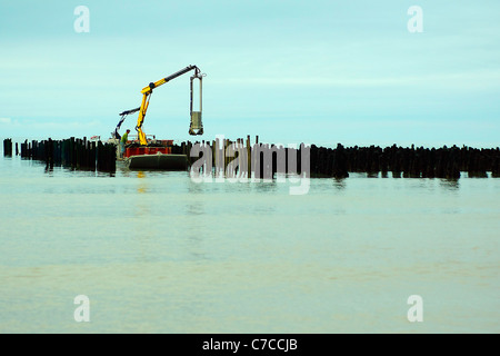 Flat boat of mussel breeder Stock Photo