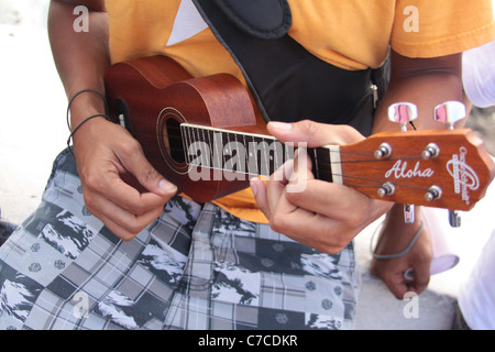 Musician playing the ukelele Stock Photo
