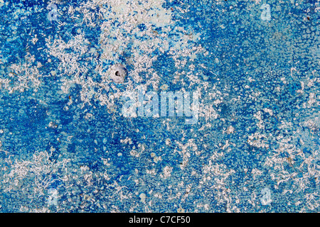 Fouling sea life on landed aged boat hull like grunge texture Stock Photo