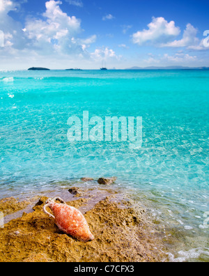 Amphora roman clay pottery with marine fouling in Mediterranean rock beach Stock Photo