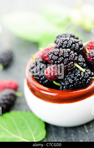 Ripe mulberry berries in a bowl, freshly picked Stock Photo