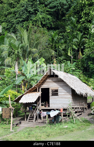 A traditional village hut in Papua Indonesia Stock Photo - Alamy