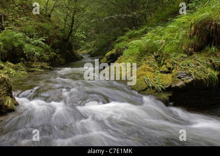 River Lyd flowing through Lydford Gorge Dartmoor National Park Stock Photo