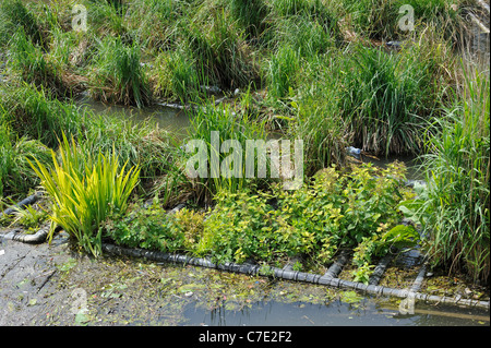 Artificial island in canal for fish to spawn and breeding place for waterfowl in town, Coupure, Ghent, Belgium Stock Photo