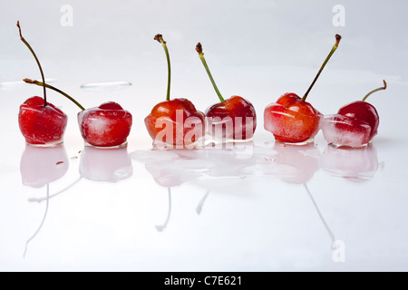 Frozen Cherries on White Background Stock Photo