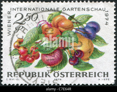 AUSTRIA - 1974: A stamp printed in Austria, devoted to the International Garden Show, Vienna, shows Fruits Stock Photo