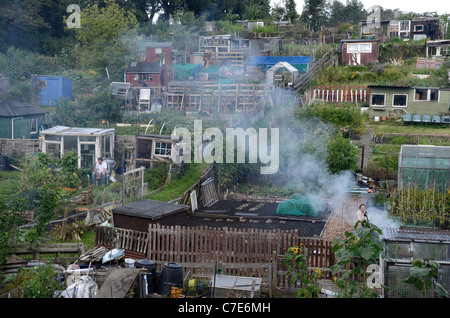 Allotments in Edinburgh Stock Photo