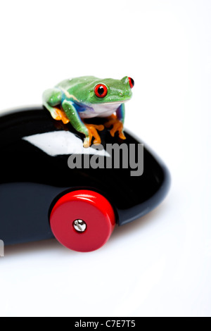 Car toy and crazy frog Stock Photo