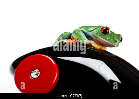 Car toy and crazy frog Stock Photo