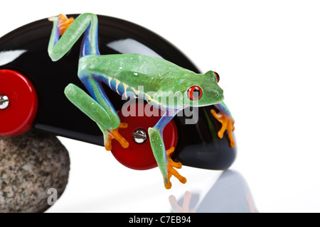 Car toy and crazy frog Stock Photo