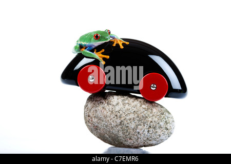 Car toy and crazy frog Stock Photo