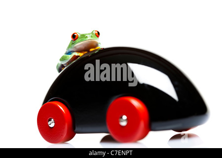 Toy car and frog Stock Photo