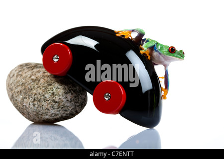 Car toy and crazy frog Stock Photo