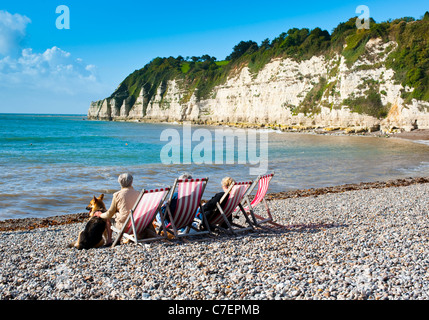 People in deck chairs with dog on beach at Beer Devon England Stock Photo